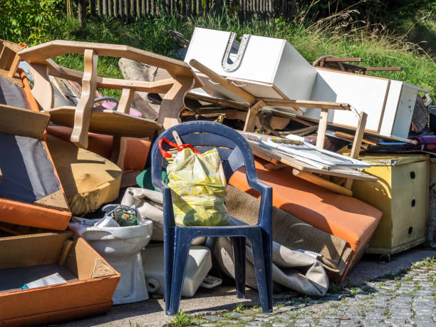 Attic Cleanout Services in Oldsmar, FL