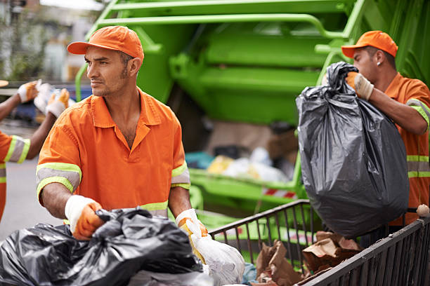 Best Dumpster Rental Services  in Oldsmar, FL